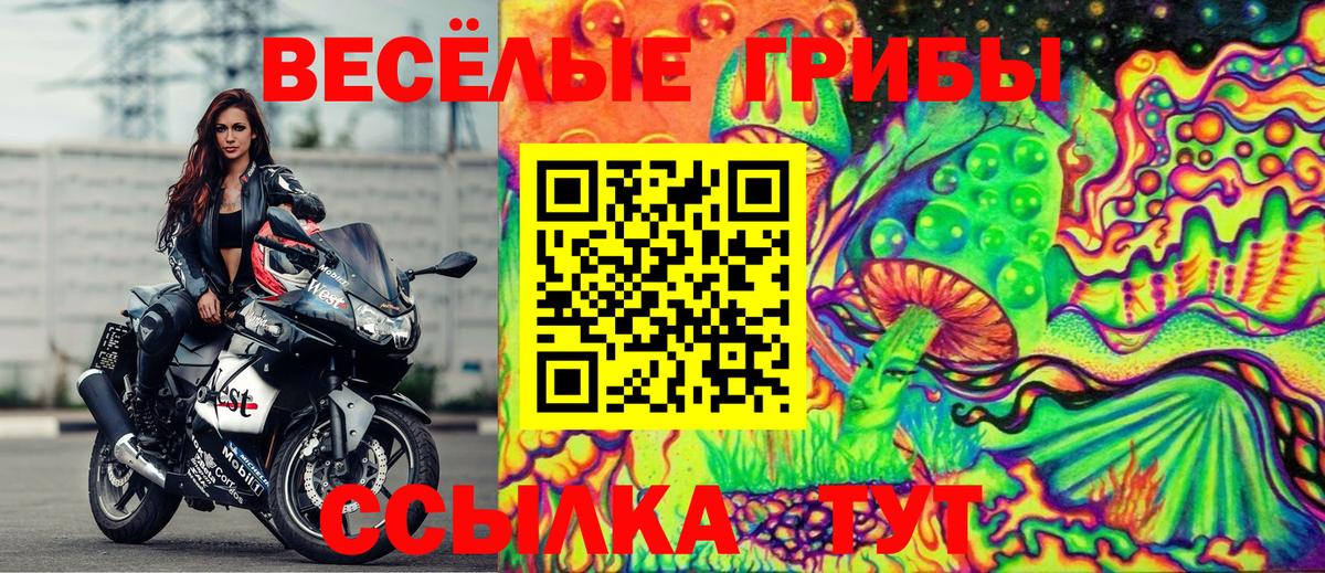 Галлюциногенные грибы MAGIC MUSHROOMS  Вход с VPN  Галлюциногенные грибы MAGIC MUSHROOMS  Сегежа 